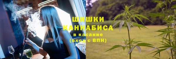 прущие грибы Михайловск