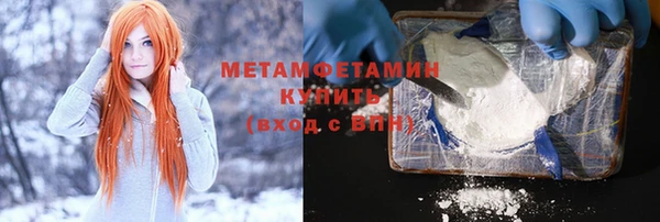 прущие грибы Михайловск