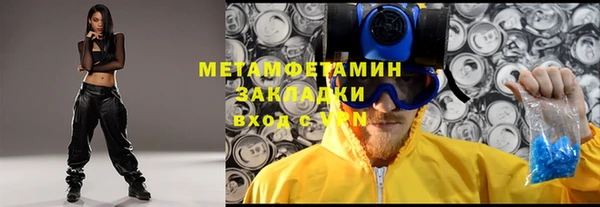 прущие грибы Михайловск