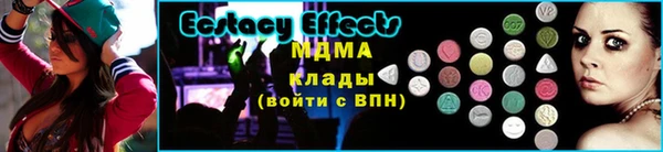 прущие грибы Михайловск