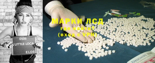 прущие грибы Михайловск