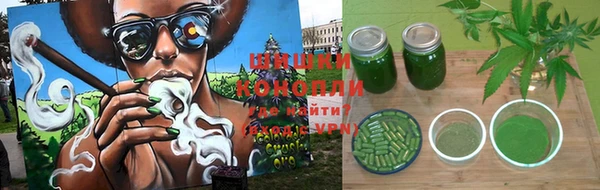 гидра Михайлов