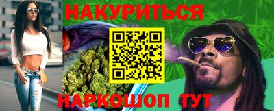 гашик Гатчина