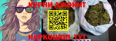 гашик Гатчина