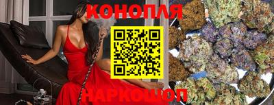spice Гай
