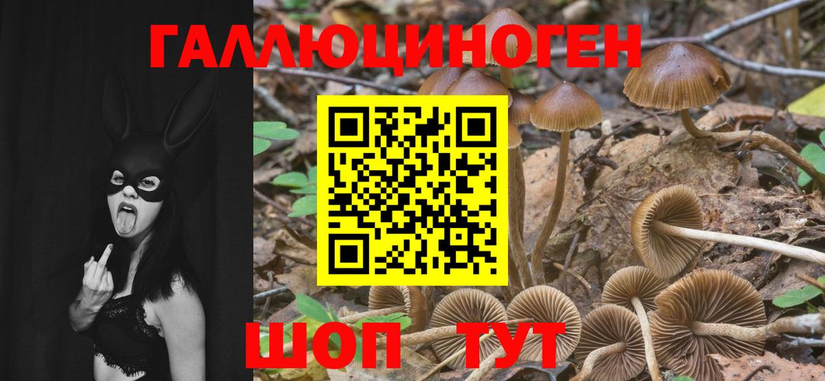 Псилоцибиновые грибы Magic Shrooms  Вход с VPN  Зеленогорск 